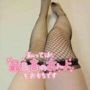 ヒメ日記 2025/04/17 08:04 投稿 あやり 埼玉本庄ちゃんこ