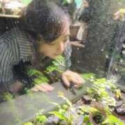 ヒメ日記 2025/07/07 11:14 投稿 あやり 埼玉本庄ちゃんこ