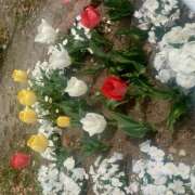 ヒメ日記 2025/04/15 10:36 投稿 根岸早紀 五十路マダムエクスプレス船橋店(カサブランカグループ)