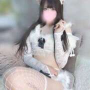 ヒメ日記 2024/12/16 13:43 投稿 ♡クロミ MEGA PALACE(メガパレス）