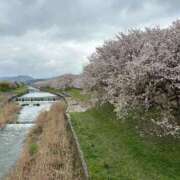 ヒメ日記 2025/04/04 13:26 投稿 れな 吉野ケ里人妻デリヘル 「デリ夫人」