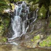 ヒメ日記 2025/08/02 16:18 投稿 れな 吉野ケ里人妻デリヘル 「デリ夫人」