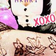 ヒメ日記 2025/06/10 14:49 投稿 倉持 あかり SUMIRE