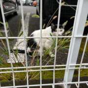 ヒメ日記 2025/06/15 09:32 投稿 倉持 あかり SUMIRE