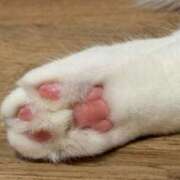 ヒメ日記 2025/09/15 08:34 投稿 倉持 あかり SUMIRE