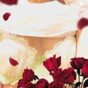 ヒメ日記 2025/12/06 23:23 投稿 倉持 あかり SUMIRE