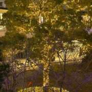 ヒメ日記 2026/01/05 13:17 投稿 倉持 あかり SUMIRE