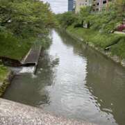 ヒメ日記 2025/04/27 00:57 投稿 りみ 青チェと赤チェ