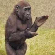 ヒメ日記 2025/07/07 13:21 投稿 りみ 青チェと赤チェ