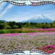 ヒメ日記 2025/04/26 15:07 投稿 大石ひなの 五十路マダム 博多店