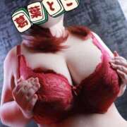 ヒメ日記 2025/04/30 15:21 投稿 葛葉 BBW西船橋店