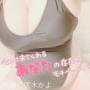 ヒメ日記 2024/12/19 12:02 投稿 国木 BBW西船橋店