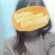 ヒメ日記 2025/11/11 11:56 投稿 うた 五反田人妻ヒットパレード（シンデレラグループ）