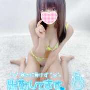 ヒメ日記 2024/12/17 07:42 投稿 ことり JKリフレ裏オプション