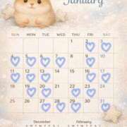 ヒメ日記 2026/01/01 14:18 投稿 いおり めちゃカワ女子 小田原早川店