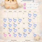 ヒメ日記 2026/01/21 19:40 投稿 いおり めちゃカワ女子 小田原早川店