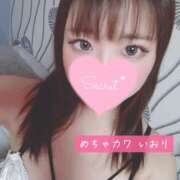 ヒメ日記 2026/01/23 16:20 投稿 いおり めちゃカワ女子 小田原早川店