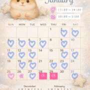 ヒメ日記 2026/01/26 19:44 投稿 いおり めちゃカワ女子 小田原早川店