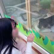 ヒメ日記 2025/02/28 18:13 投稿 槙野まゆ ウルトラホワイト