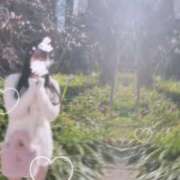 ヒメ日記 2025/04/01 16:13 投稿 槙野まゆ ウルトラホワイト