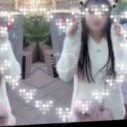 ヒメ日記 2025/04/07 18:23 投稿 槙野まゆ ウルトラホワイト