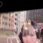 ヒメ日記 2025/04/24 08:53 投稿 槙野まゆ ウルトラホワイト