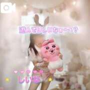 ヒメ日記 2025/04/16 05:20 投稿 しいな Jewelry club（ジュエリークラブ）