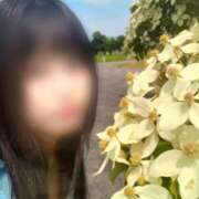 ヒメ日記 2026/01/27 23:54 投稿 しいな Jewelry club（ジュエリークラブ）