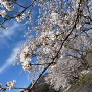 ヒメ日記 2025/04/05 20:23 投稿 もみじ ぽっちゃり巨乳素人専門横浜関内伊勢佐木町ちゃんこ