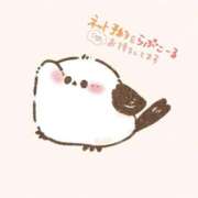 ヒメ日記 2025/04/25 20:06 投稿 もみじ ぽっちゃり巨乳素人専門横浜関内伊勢佐木町ちゃんこ