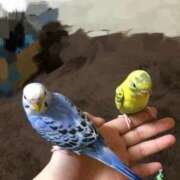 ヒメ日記 2025/06/04 18:16 投稿 もみじ ぽっちゃり巨乳素人専門横浜関内伊勢佐木町ちゃんこ