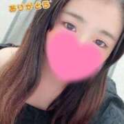 ヒメ日記 2025/05/14 17:25 投稿 みれい 横浜人妻ヒットパレード（シンデレラグループ）