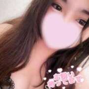 ヒメ日記 2025/09/17 09:27 投稿 みれい 横浜人妻ヒットパレード（シンデレラグループ）