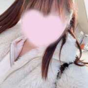 ヒメ日記 2025/12/29 10:57 投稿 みれい 横浜人妻ヒットパレード（シンデレラグループ）