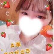 ヒメ日記 2026/01/15 18:43 投稿 みれい 横浜人妻ヒットパレード（シンデレラグループ）