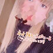 ヒメ日記 2025/02/12 11:53 投稿 もみじ 新横浜ちゃんこ