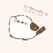 ヒメ日記 2025/04/25 20:03 投稿 もみじ 新横浜ちゃんこ