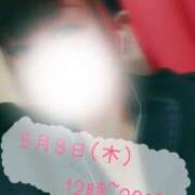 ヒメ日記 2025/05/07 12:04 投稿 もみじ 新横浜ちゃんこ