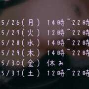 ヒメ日記 2025/05/26 20:11 投稿 もみじ 新横浜ちゃんこ