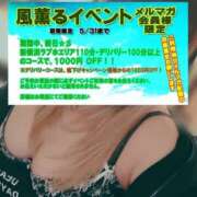 ヒメ日記 2025/05/28 16:03 投稿 もみじ 新横浜ちゃんこ