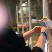 ヒメ日記 2025/05/29 18:03 投稿 もみじ 新横浜ちゃんこ