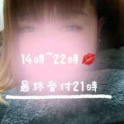 ヒメ日記 2025/06/25 20:03 投稿 もみじ 新横浜ちゃんこ