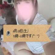 ヒメ日記 2025/06/26 20:13 投稿 もみじ 新横浜ちゃんこ