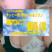 ヒメ日記 2025/07/06 14:03 投稿 もみじ 新横浜ちゃんこ