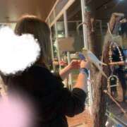 ヒメ日記 2025/08/11 18:03 投稿 もみじ 新横浜ちゃんこ