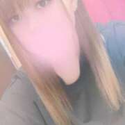 ヒメ日記 2025/10/23 13:53 投稿 もみじ 新横浜ちゃんこ