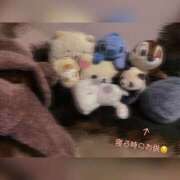 もみじ 愉快な仲間たち🧸 新横浜ちゃんこ