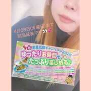 ヒメ日記 2026/04/05 15:43 投稿 もみじ 新横浜ちゃんこ