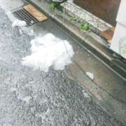 ヒメ日記 2025/03/19 14:02 投稿 みほ 新宿プチドール