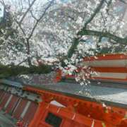 ヒメ日記 2025/03/28 09:29 投稿 みほ 新宿プチドール